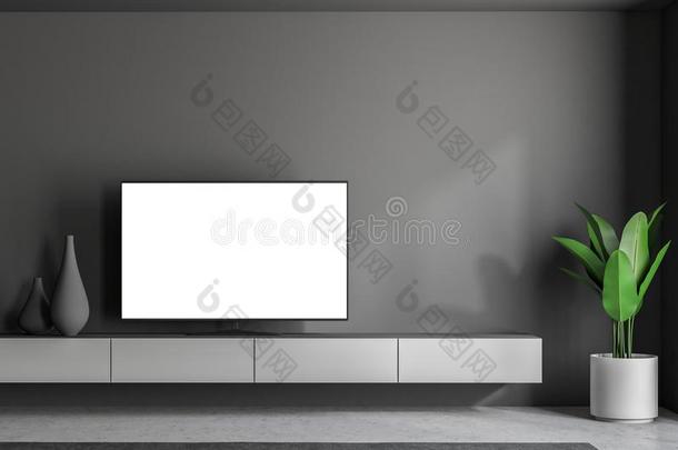 愚弄在上面television电视机放置屏幕灰色活的房间