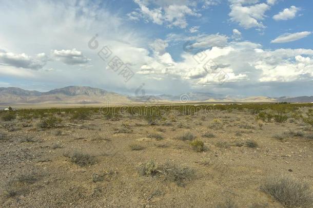 沙漠植物,蓝色多云的天越过莫哈韦沙漠沙漠风景城镇