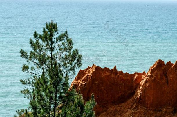 红色的沙悬崖向指已提到的人海滩采用葡萄牙