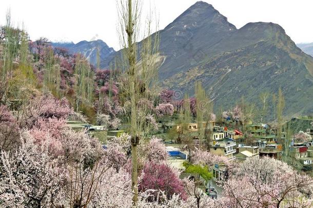 看法越过纯净罕萨山谷,喀拉昆仑山脉公路,Punjab