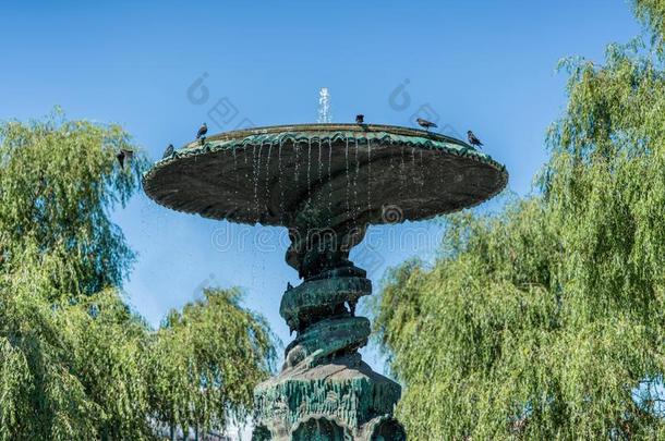 一大大地青铜人造喷泉纪念碑和鸟向顶和奥罗西