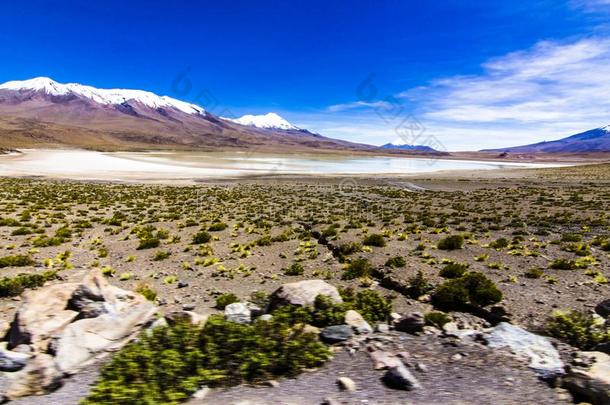 ♪Charcota♪环礁湖在玻利维亚的<strong>高原</strong>采用指已提到的人道路向乌尤尼萨特夫尔