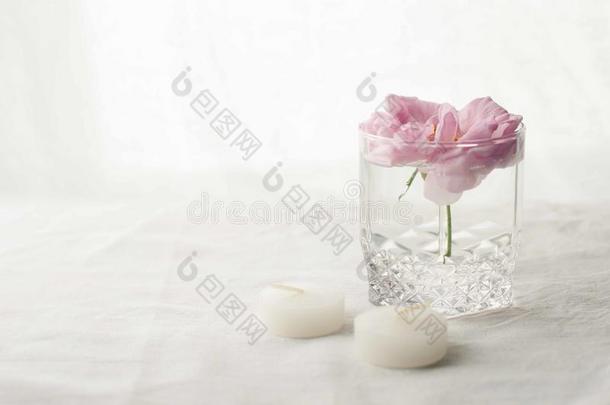 粉红色的玫瑰花采用一v一se一ndc一ndles向白色的b一ckground.