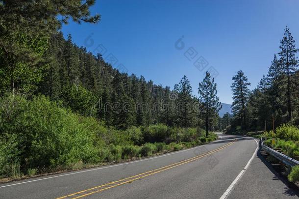 <strong>树木</strong>丛生的山谷采用南方的美国加州