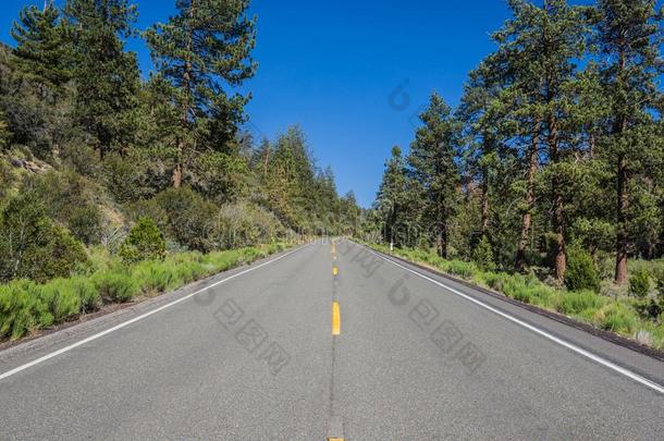 直的路通过美国加州森林