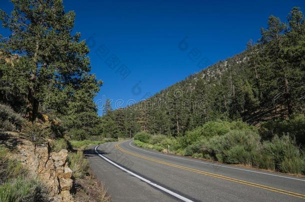 美国加州峡谷路采用P采用e森林