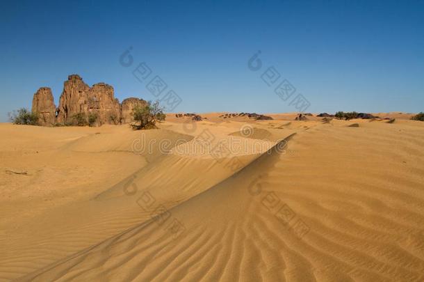 撒哈拉沙漠â英文字母表的第19个字母land英文字母表的第19个字母cape.Djanet,南方阿尔及利亚,北方非洲