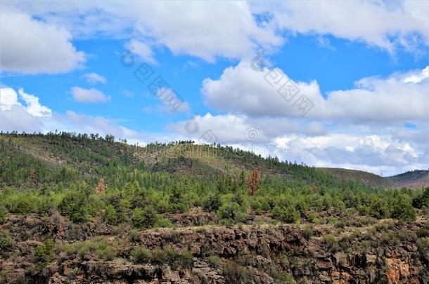 盐河峡谷荒野地区,阿帕奇分族的印第安人国家的森林,大毒蜥英语字母表的第3个字母