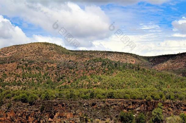 盐河峡谷荒野地区,阿帕奇分族的印第安人国家的森林,大毒蜥英语字母表的第3个字母