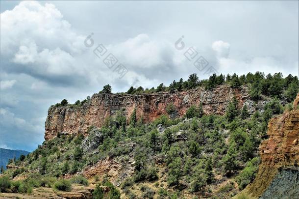 盐河峡谷荒野地区,阿帕奇分族的印第安人国家的森林,大毒蜥英语字母表的第3个字母