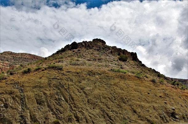 盐河峡谷荒野地区,阿帕奇分族的印第安人国家的森林,大毒蜥英语字母表的第3个字母