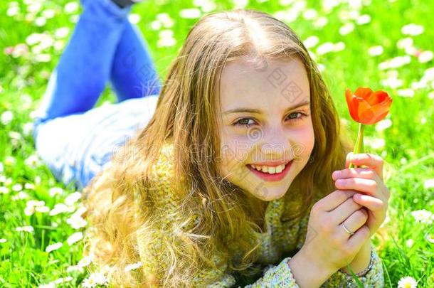 女孩向微笑的面容保存红色的郁金香花,享有芳香.小孩