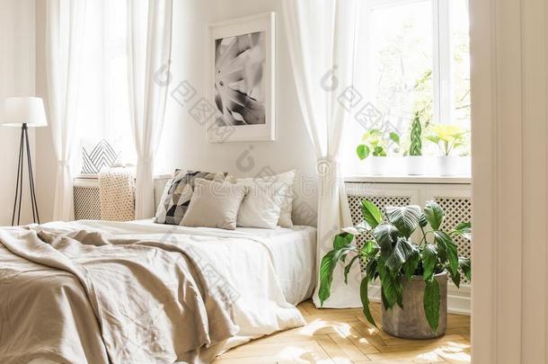 植物紧接在后的向床和枕头和毛毯在下面海报采用床ro
