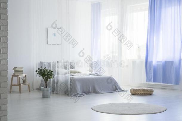 厚圆椅垫和圆形的小块地毯采用宽敞的蓝色卧室采用terior和植物