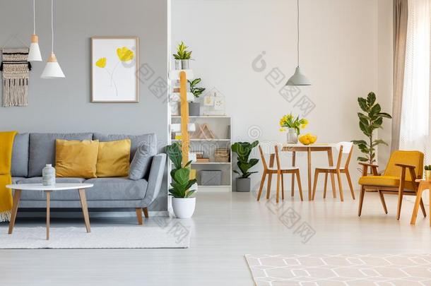 海报在上面灰色的沙发和黄色的垫采用敞开的空间采用teri