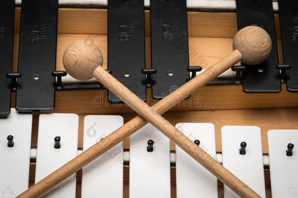 一钟琴和黑的和白色的调和木制的槌子