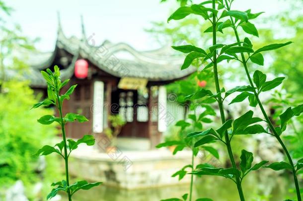 苏州花园,中国