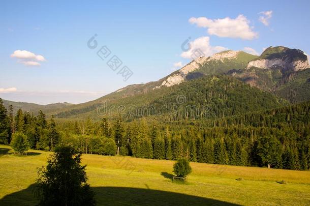 全景画从绿色的高的汽车品牌名称--捷克贝斯基德山山和湖和wickets三柱门