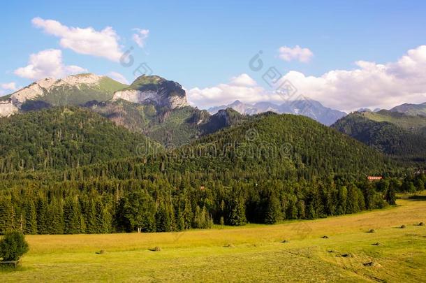 全景画从绿色的高的汽车品牌名称--捷克贝斯基德山山和湖和wickets三柱门