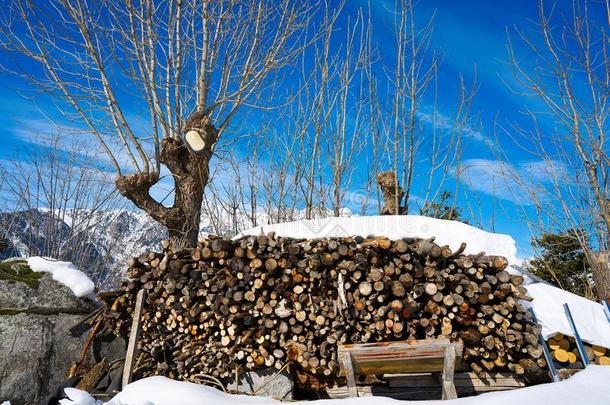 木柴堆积在下面雪采用比利牛斯山脉Spa采用