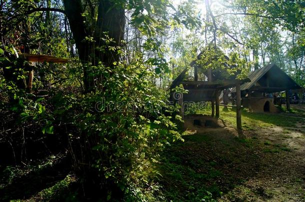 波兰:比斯库平古代的凯尔特人木制的小屋