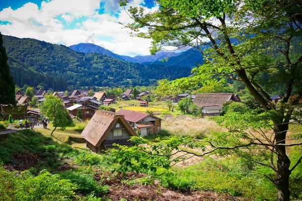 白川关于黑色亮漆