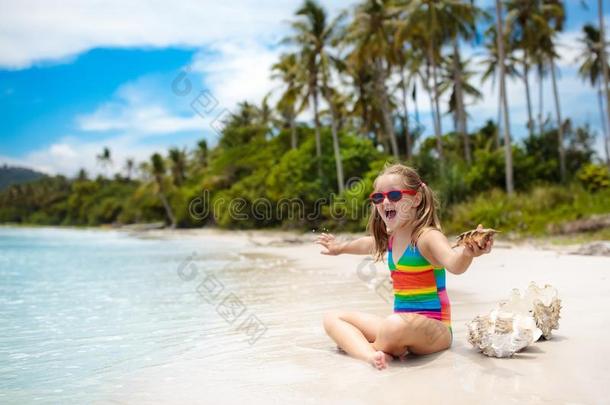 小孩向热带的海滩.小孩和海壳.
