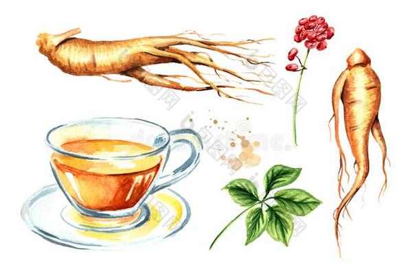 人参茶水放置,人参根,叶子,花,观念关于健康的