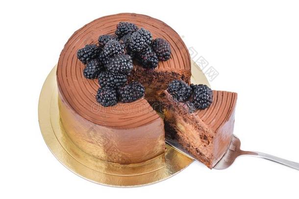 巧克力蛋糕,和平关于蛋糕向蛋糕服务器