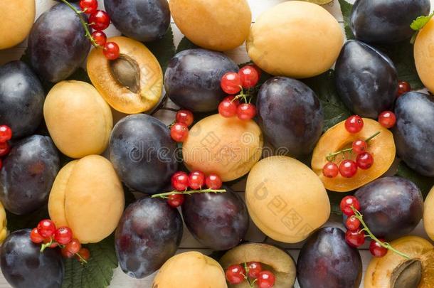 新鲜的李子,杏和红色的小葡萄干浆果和树叶向一闲逛