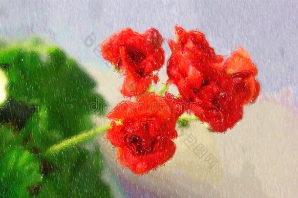 说明关于<strong>蔷薇花</strong>蕾天竺葵属的植物红色的赫拉铵,<strong>大</strong>家知道的同样地佩拉尔
