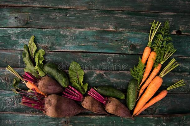 新鲜的农场蔬菜甜菜根,胡萝卜和黄瓜向一伍德