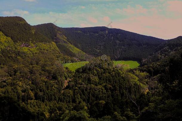 火山口火山的,卡尔代拉火山格拉西奥萨.