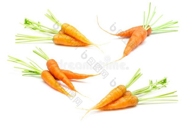 胡萝卜,婴儿胡萝卜,新鲜的胡萝卜向白色的背景