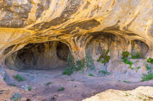 <strong>旧石器时代</strong>的卡兰洞穴,线路,火鸡