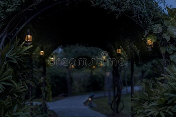 飓风灯采用花园在夜时间