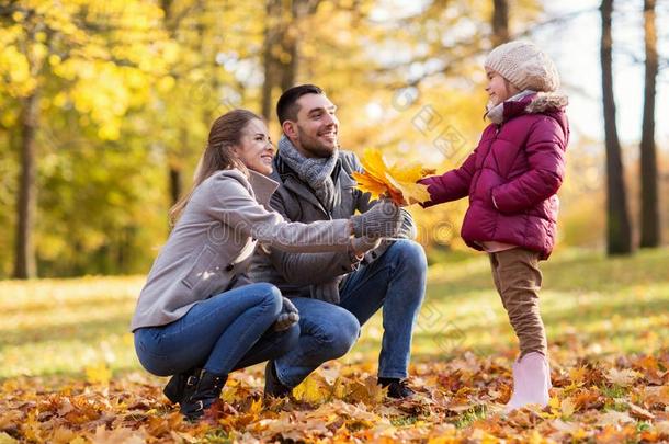 幸福的家庭和枫树树叶在秋公园