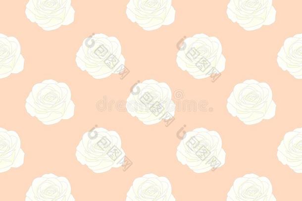 白色的玫瑰向无缝的桔子桃子背景.矢量illustrat