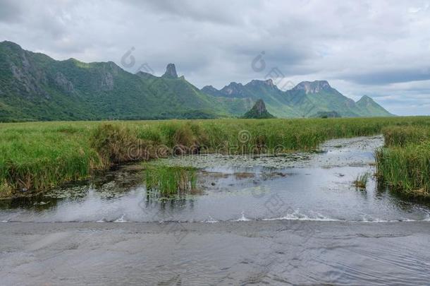 潮湿的土壤采用Mounta采用<strong>山参</strong>差国家的公园,预Chulbkikikh