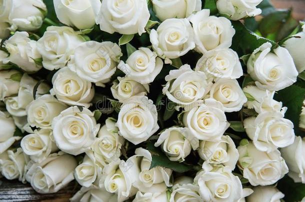 关-在上面关于一巨大的花束关于白色的玫瑰