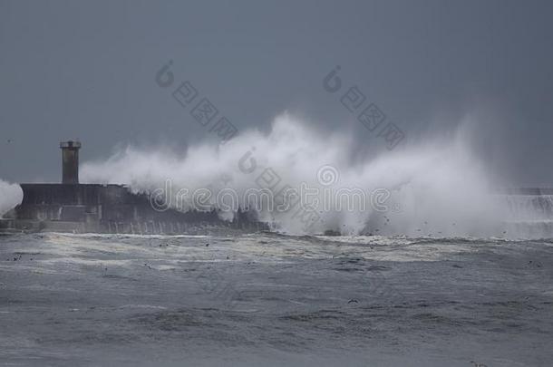 <strong>牛奶</strong>和奶制品<strong>海</strong>港在的时候<strong>海</strong>暴风雨