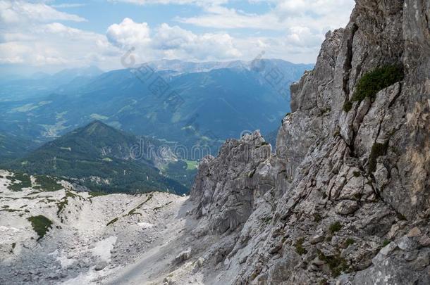 手提山山采用alkali-treatedlipopolysaccharide碱处理的脂多糖采用奥地利