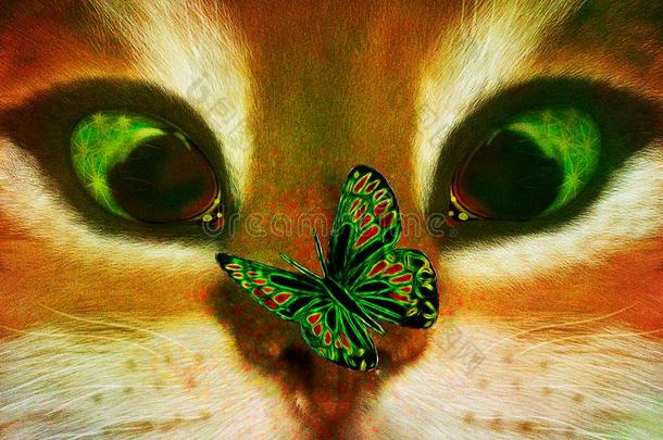 猫和一侮慢的蝴蝶.
