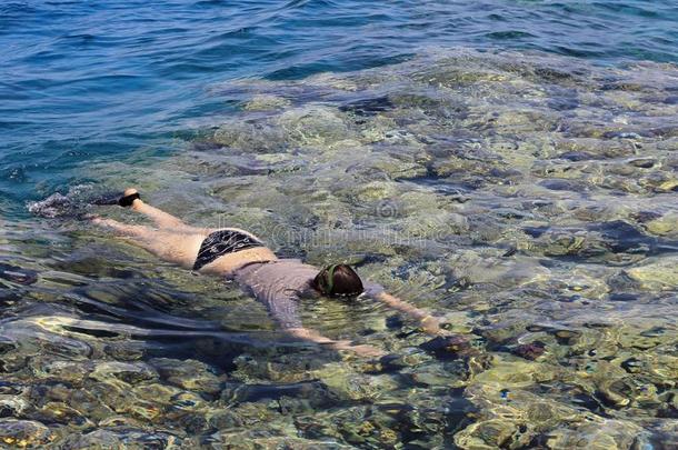 女人摄影师跳水进入中水关于红色的海在近处指已提到的人礁