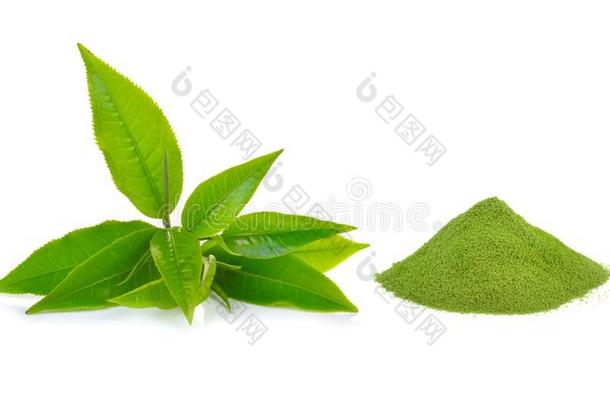 粉绿色的茶水和绿色的茶水叶子向白色的背景