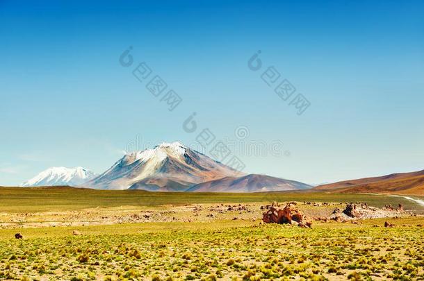 火山向<strong>高原高原</strong>,玻利维亚条子毛绒