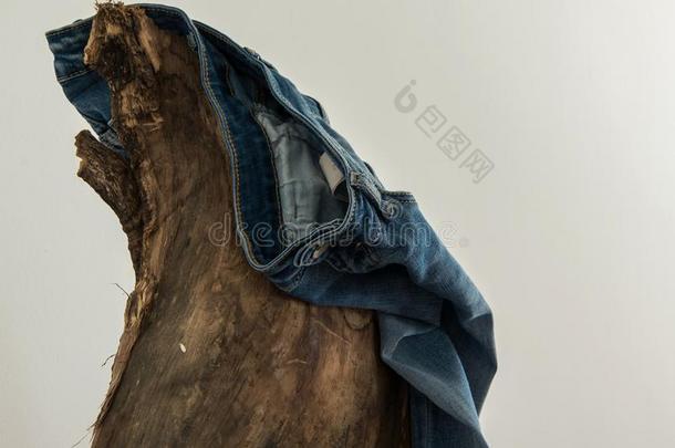 一一副关于牛仔裤绞死向一老的木制的树干