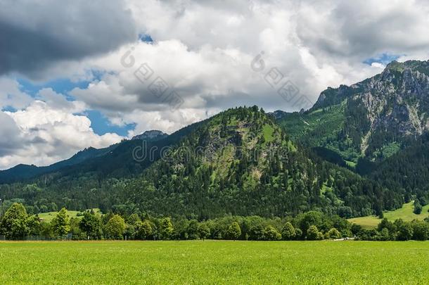 田园诗般的风景采用指已提到的人alkali-treatedlipopolysaccharide碱处理的脂多糖和绿色的草地和云.