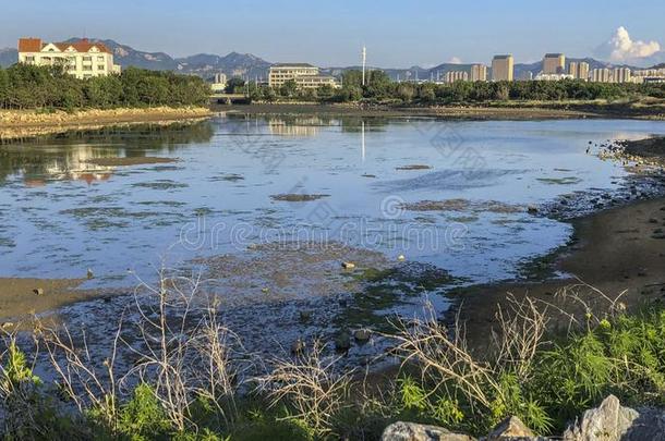 海岸线关于威海城市