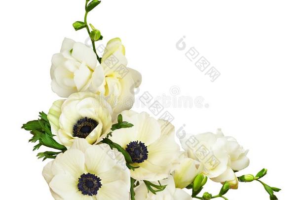 白色的银莲花和小苍兰属植物花采用<strong>一角</strong>落一rr一ngement